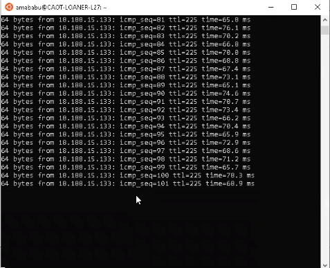 Ping IP Address