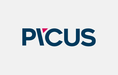 Picus Security 로고