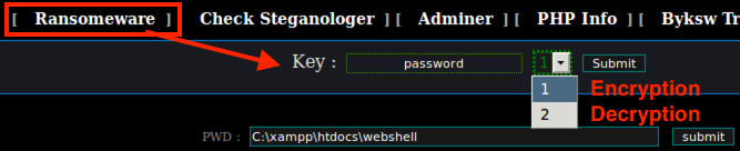 Webshell portion with ransomware key