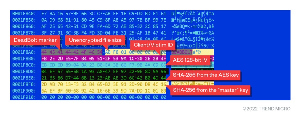 An example of a DeadBolt-encrypted file in binary 