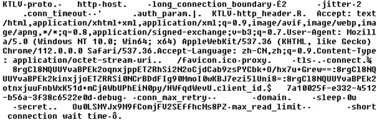 Figure 2. Example of the decrypted configuration