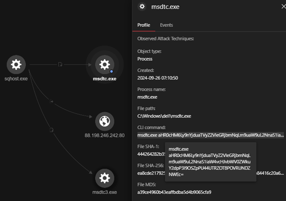 msdtc.exe, which attempts to reach out to a remote .onion URL