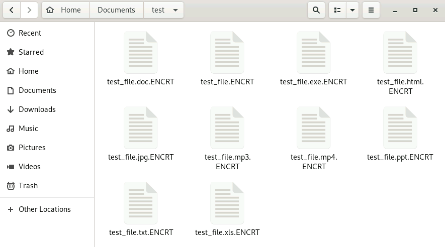 Figure 13. The files encrypted by Gunra Ransomware