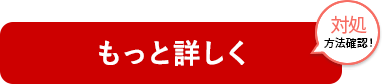 もっと詳しく