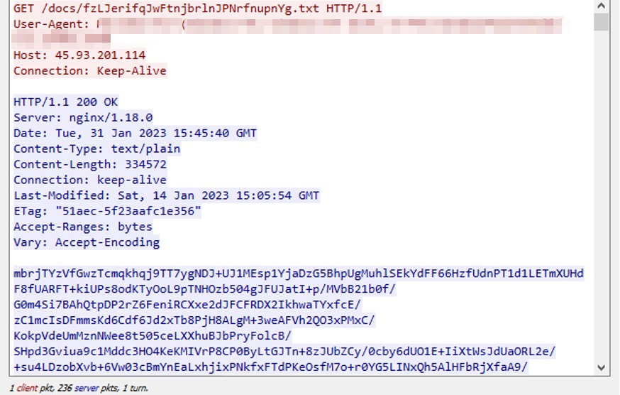 圖 10：來自 hxxp://45.93.201[.]114/docs/fzLJerifqJwFtnjbrlnJPNrfnupnYg[.]txt 的 HTTP 回應。