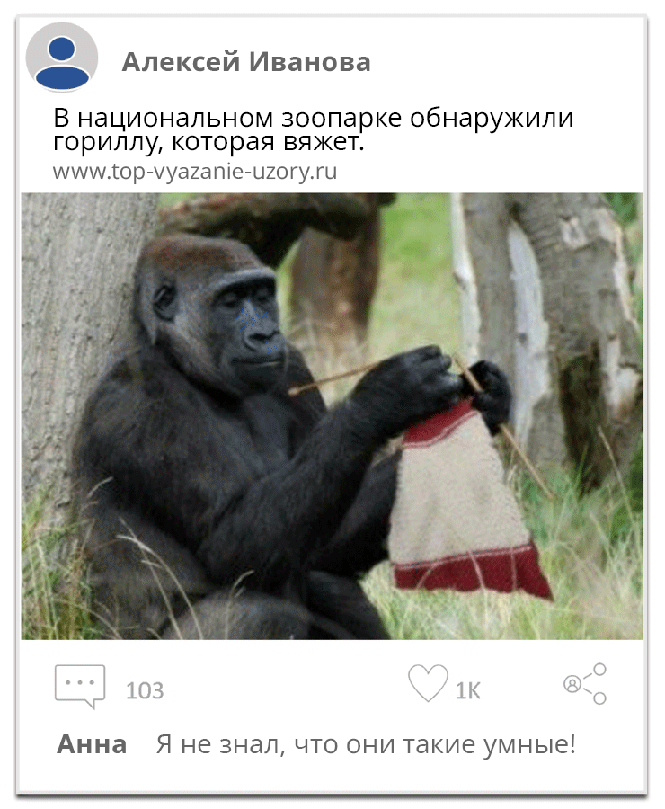 Пример публикации в соцсетях — Горилла вяжет: факт или ложная информация?